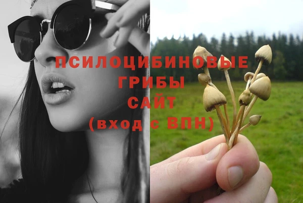 ECSTASY Белокуриха