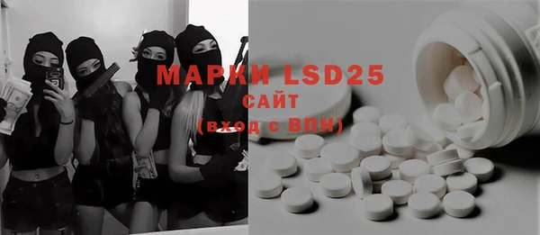ECSTASY Белокуриха