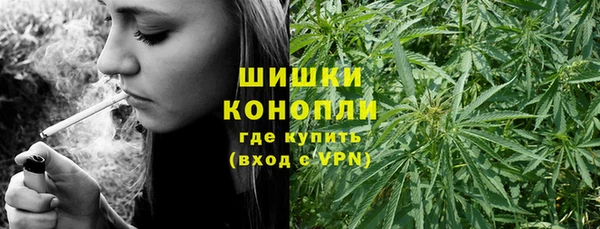 ECSTASY Белокуриха