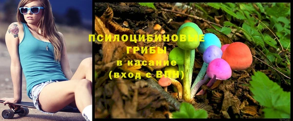 ECSTASY Белокуриха