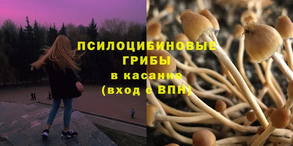apvp Белоозёрский