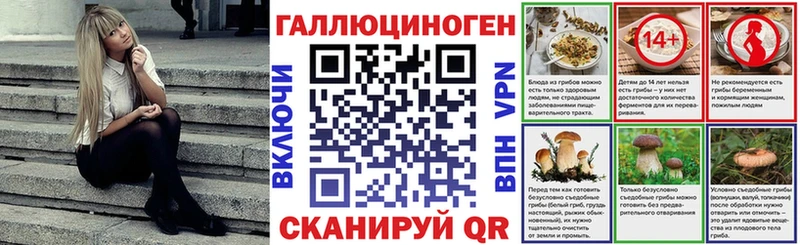 купить наркотики сайты  Онега  Галлюциногенные грибы Psilocybe 